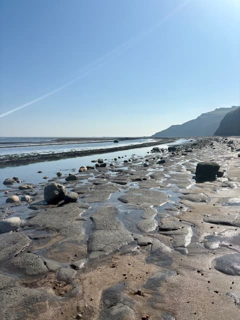 Rock pooling in Robin Hood's Bay
