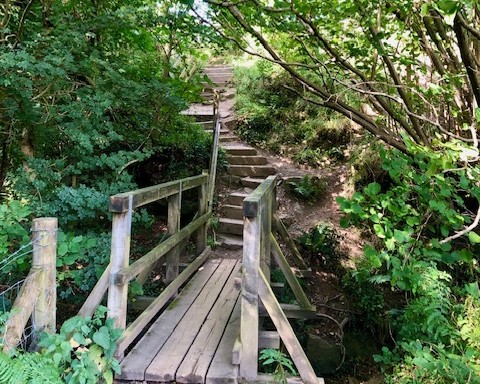 Woodland walk Goatland